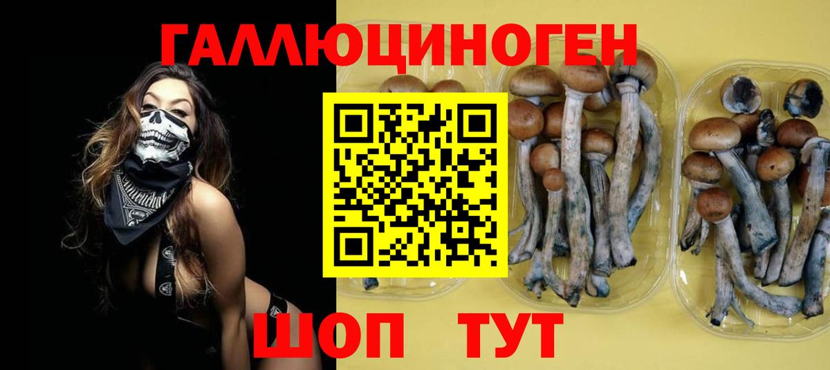 даркнет сайт  Псилоцибиновые грибы Cubensis  Вход с VPN  Новосибирск 